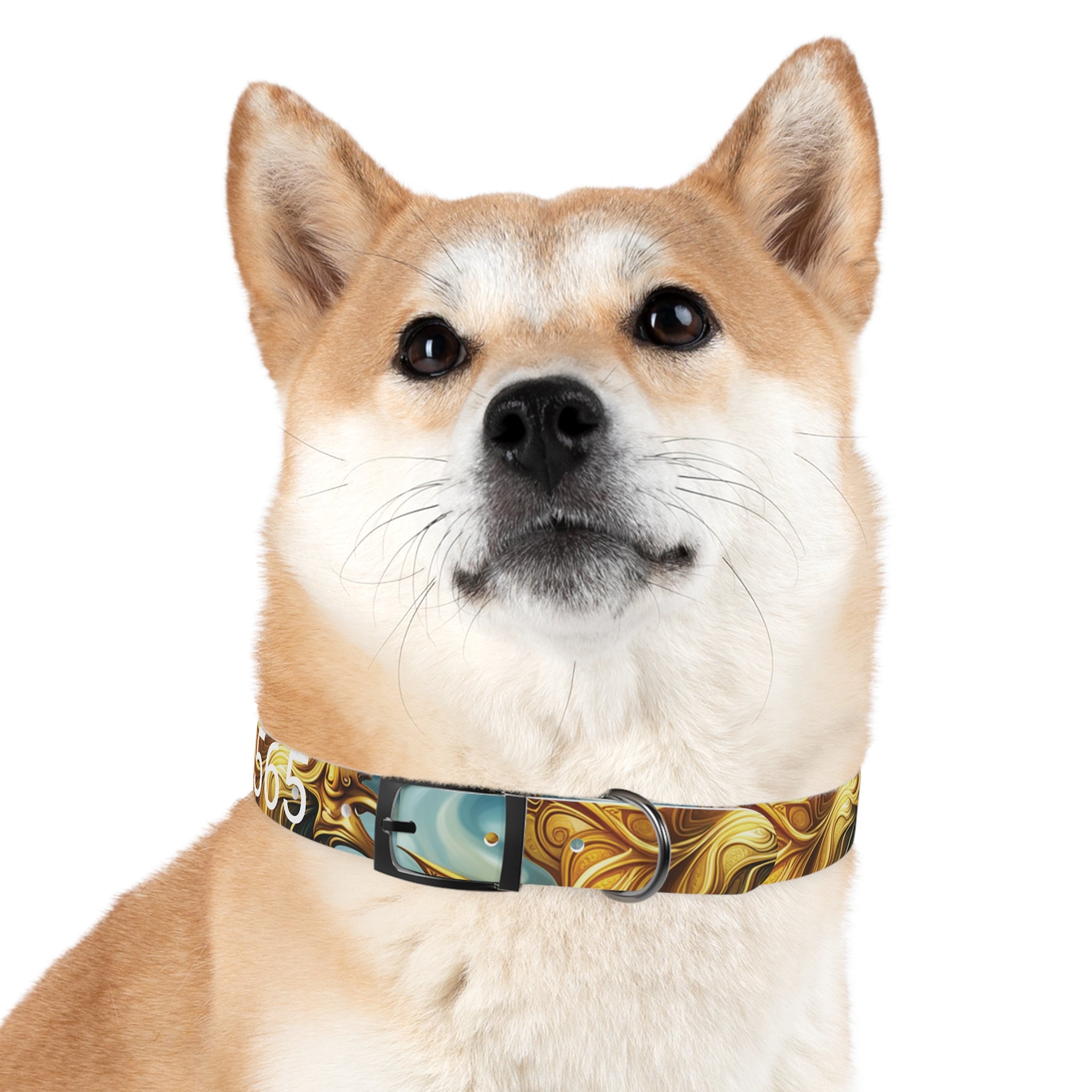 Dog Collar